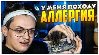 БУСТЕР ЗАВЕЛ КОТЕНКА, НО... / BUSTER ROFLS