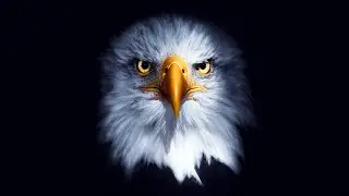 Understanding The Conservative Mind