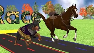 Horse vs Hound Race Challenge, Horse and Hound Racing | Roar Race
