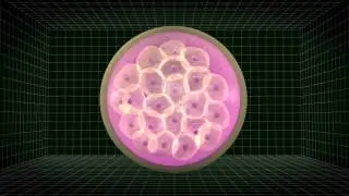 Stem cells produced from cloning technique