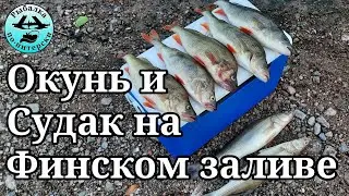 Окунь и судак на Финском заливе.