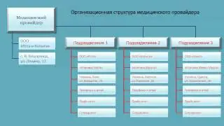 С чего начинать внесение данных клиники