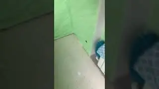 Тёплый пол на балконе (лоджии)