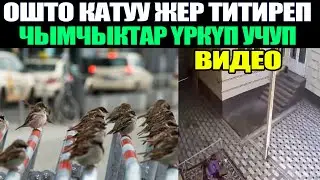 Ош шаарында саат 