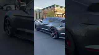 Epic 2020 Mustang Shelby GT500 