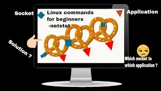 Linux commands for beginners | Linux netstat command example | Hands on experience in Linux commands