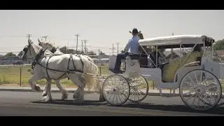 Maya's XV Short Film