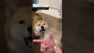 😍 ЭДИСОН МАЙНКРАФТ ПОКАЗЫВАЕТ ТРЮК С МАРТИ