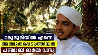 പഞ്ചാബിലൂടെ പോകുന്നത് പോലെയാണ് തോന്നുന്നത്. Alaine മരുഭൂമിയിൽ | musafir of dunya | alaine desert