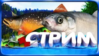 РР4 СТРИМ • Охота на Гольца Дрягина с Тунгусского озера!