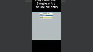 Single and Double Entry Mode in 