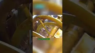 Хватит есть доширак!😬Лучшая лапша быстрого приготовления😊😋