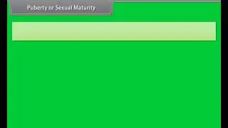 Puberty or Sexual Maturity