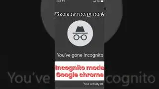 Is Incognito Mode Actually Hiding Your Searches?