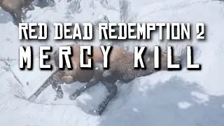 Mercy Kill - Red Dead Redemption 2 (RDR2) 