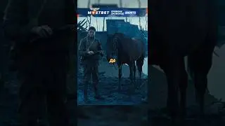 Враги объединились ради спасения коня 🐎 