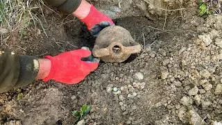 define bulma anı / I found a cube full of treasure
