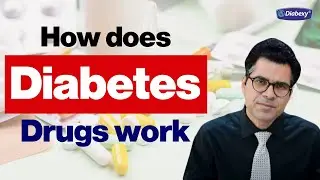 How does Diabetes Drugs work | Drugs Mechanism and Uses | Diabexy EDU 21