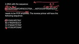 Forward and reverse primers explained