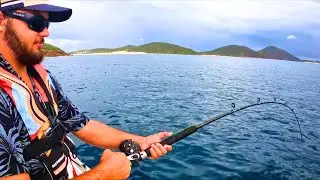 Nelson Bay Inshore Reef Fishing