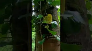 место для свидания в Батуми