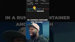 View the Contents of any Docker Container 