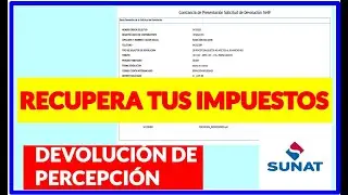 ACTUALIZADO 2023!😱 COMO SOLICITAR LA DEVOLUCION DE MIS PERCEPCIONES🤑 - SUNAT