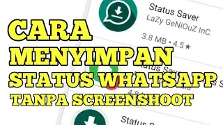 Cara Menyimpan Status WhatsApp Tanpa Screenshot dan aplikasi tambahan