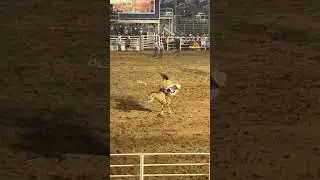 Buckin’ bronco at Arizona rodeo