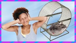 Do silent hamster wheel. Life hack for hamster / Do silent hamster wheel