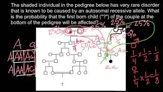 How to solve advanced pedigree problems
