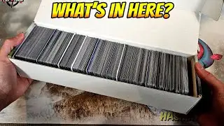 I Was Given a Long Box of Assorted Magic Cards... Is There Anything Good in it?