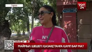 МАЙМЫЛ ШЕШЕГІ ҚАЗАҚСТАНҒА КАУІП БАР МА?