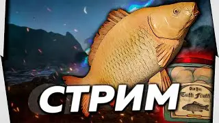 ⭐СТРИМ РР4 | КАРПенсация Предыдущего стрима | 🎁Рулетка с призами