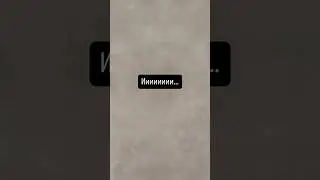 И так всегда 😅#рекомендации #юмор