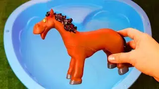 Best Learning Video Animals for Kids Horse Shark  Elephant Preschool Toddler Learning Toy Video