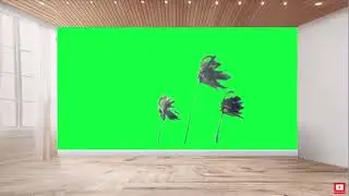 Green screen moving tree | tree background video