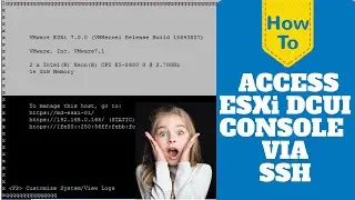 How to Access ESXi DCUI via SSH?