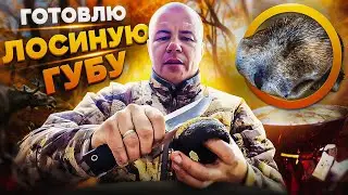 ГОТОВИМ ДИЧЬ | ЛОСИНАЯ ГУБА с БЕЛЫМИ ГРИБАМИ и СМЕТАНОЙ