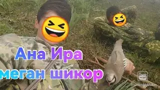 кабки шикори фуруши гарантия номеро +79779624809 шикор. кабк дар ҲОИТ
