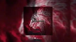 Scxnks - Acceptance