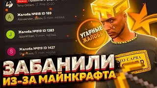 ЗАБАНИЛИ В ГТА 5 РП ИЗ-ЗА МАЙНКРАФТА - УГАРНЫЕ ЖАЛОБЫ GTA 5 RP LAMESA/SUNRISE/VINEWOOD