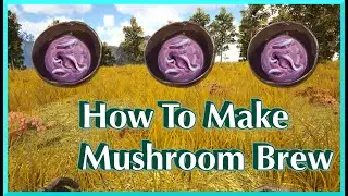 Mushroom Brew Ark Fjordur