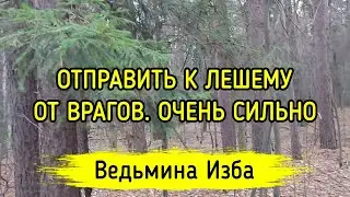ОТПРАВИТЬ К ЛЕШЕМУ. ОТ ВРАГОВ. ОЧЕНЬ СИЛЬНО. ДЛЯ ВСЕХ. ВЕДЬМИНА ИЗБА ▶️ МАГИЯ