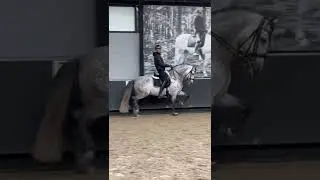 First ride on stallion after a 3 week holiday 😳