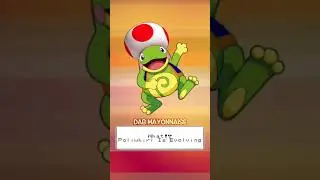 Regional Politoad Concept