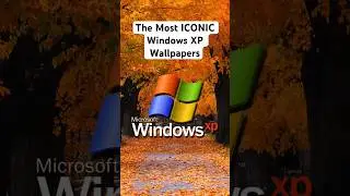The Most ICONIC Windows XP Wallpapers!!!