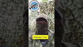 Буревестник | Над Америкой летает. #политика #америка #новоевидео #медиа #буревестник #летает