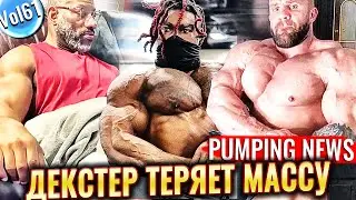 ДЕКСТЕР СЛИВАЕТ Очень Быстро | Новая СЕНСАЦИЯ Классик Физик | Хантер ЛАБРАДА или Йен ВАЛЛИР