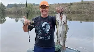 Рыбалка на хищника Щука и Судак. 2022 Fishing.  Complication
